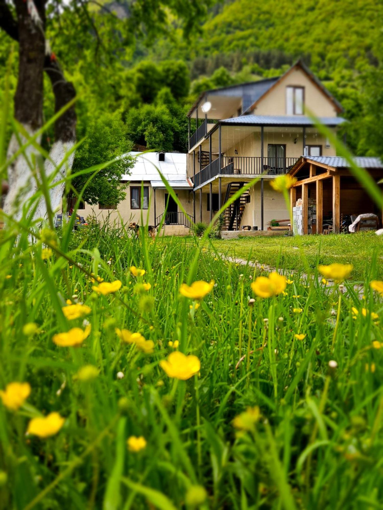 House B&B Mestia Eksteriør bilde