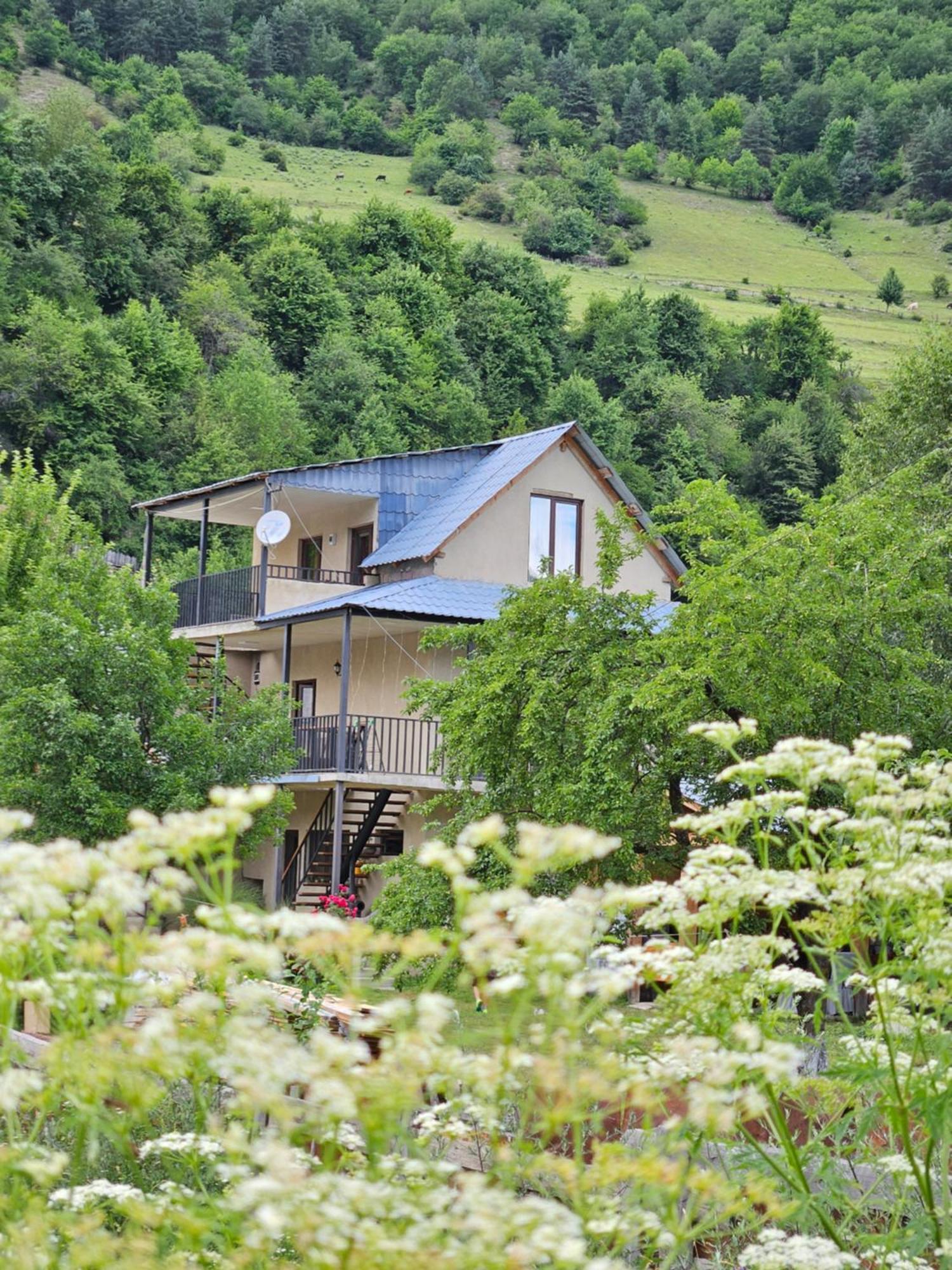 House B&B Mestia Eksteriør bilde